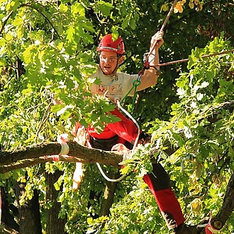 12. Mistrovství ČR v arboristice